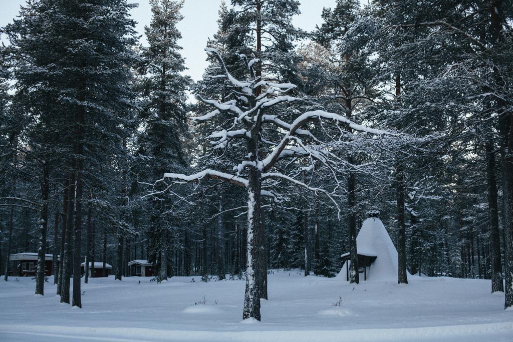 Villa Petaejaekylae Kuusamo Habitación foto